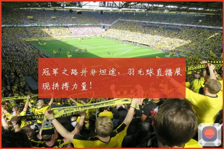 冠军之路并非坦途,羽毛球直播展现拼搏力量!