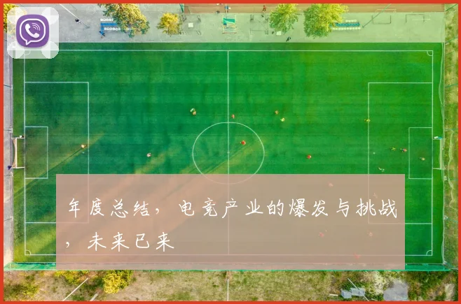 年度总结,电竞产业的爆发与挑战,未来已来